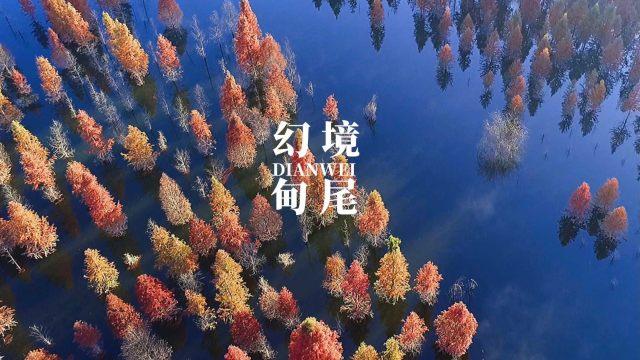 防腐过滤机可以应用在哪些领域？游戏画面