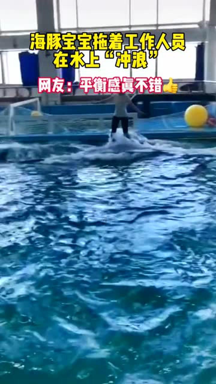 动物帮帮忙保卫家园